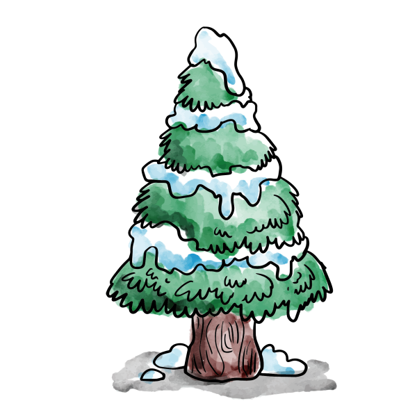 52 126 Christmas tree Png images