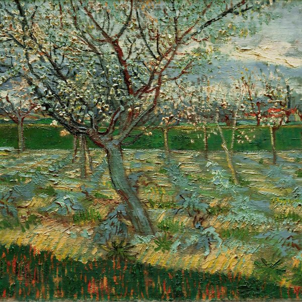 Van Gogh’s Landscape Painting Part 1
